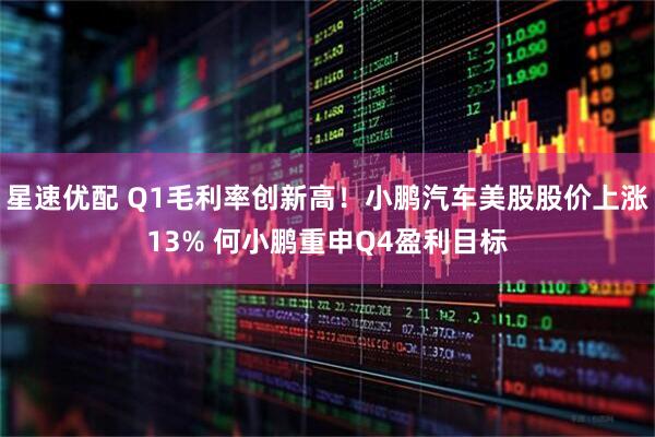 星速优配 Q1毛利率创新高！小鹏汽车美股股价上涨13% 何小鹏重申Q4盈利目标