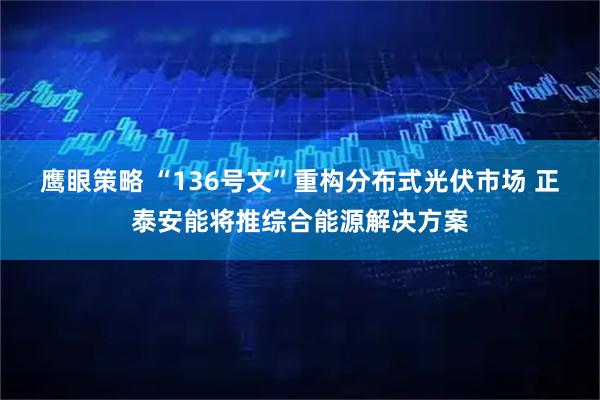鹰眼策略 “136号文”重构分布式光伏市场 正泰安能将推综合能源解决方案