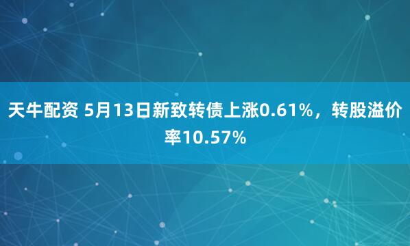 天牛配资 5月13日新致转债上涨0.61%，转股溢价率10.57%
